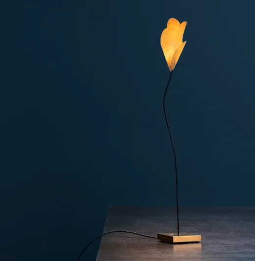 hoefsloot-wonen-catellani-smith-for-you