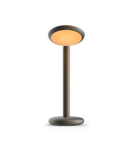 hoefsloot-wonen-grau-parrot-table-3